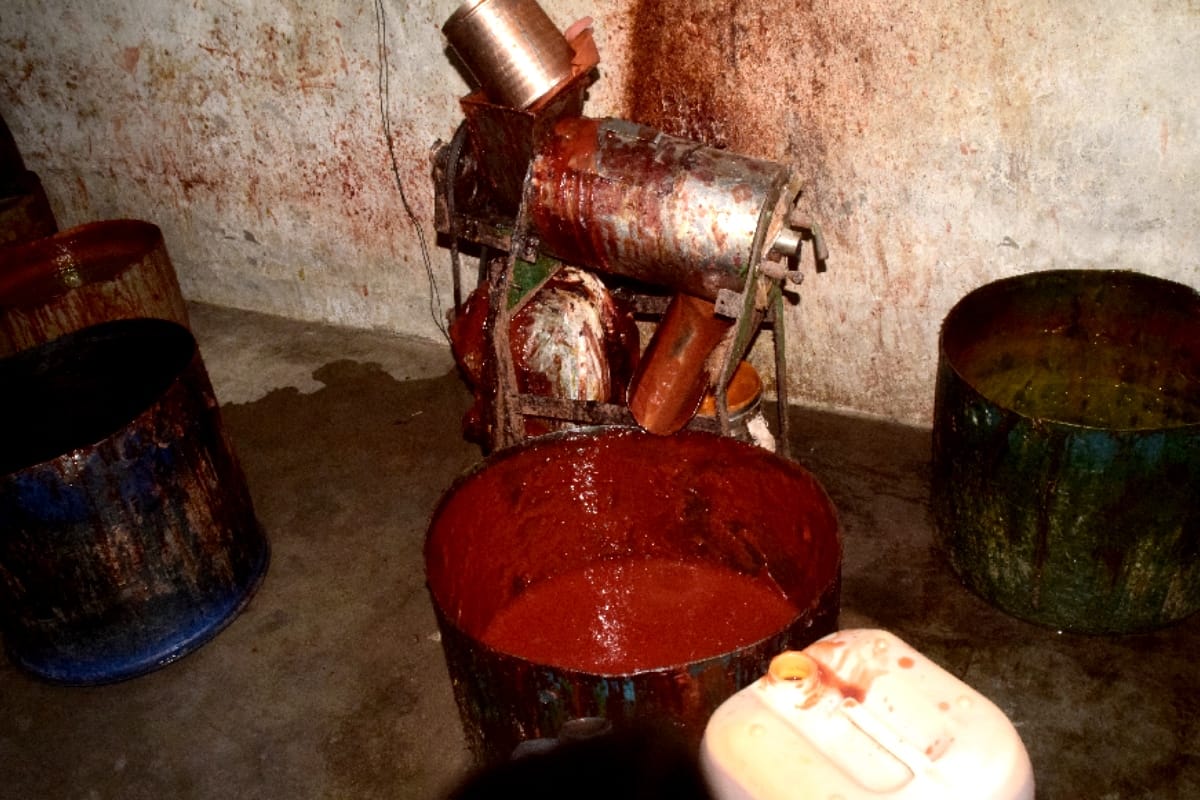 Meerut news, tomato sauce is made with Hazardous colors, synthetic vinegar and rotten vegetables
