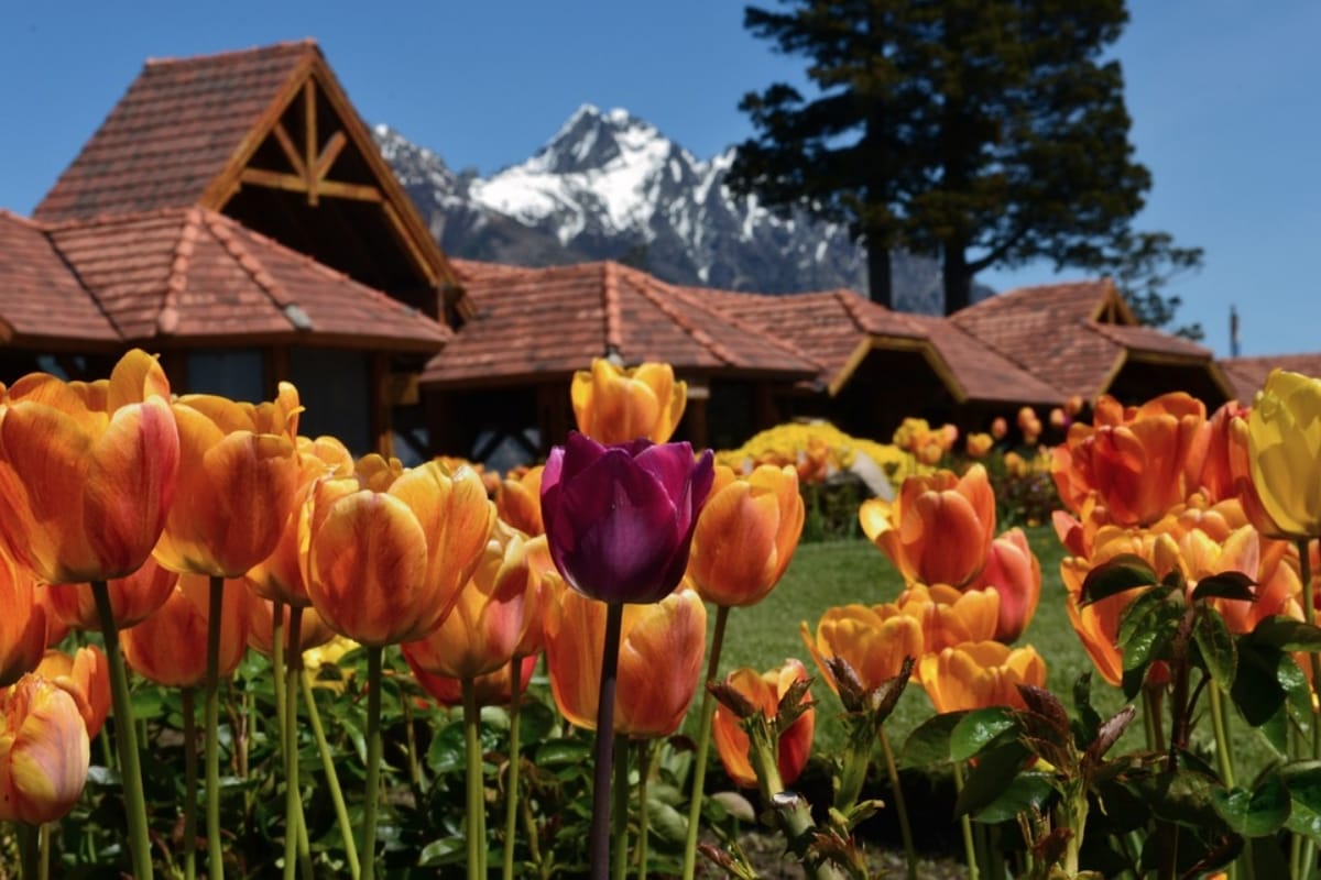 visit 4 beautiful and cheap countries of lower currency from India