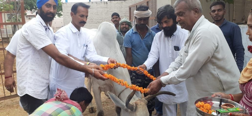 anshan, protest, drug, kashi, fatehabad