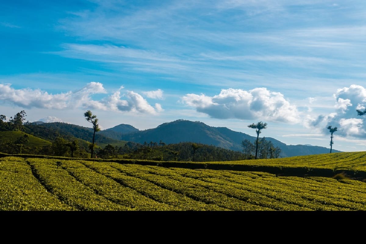 pachmarhi, the highest hill station of madhya pradesh