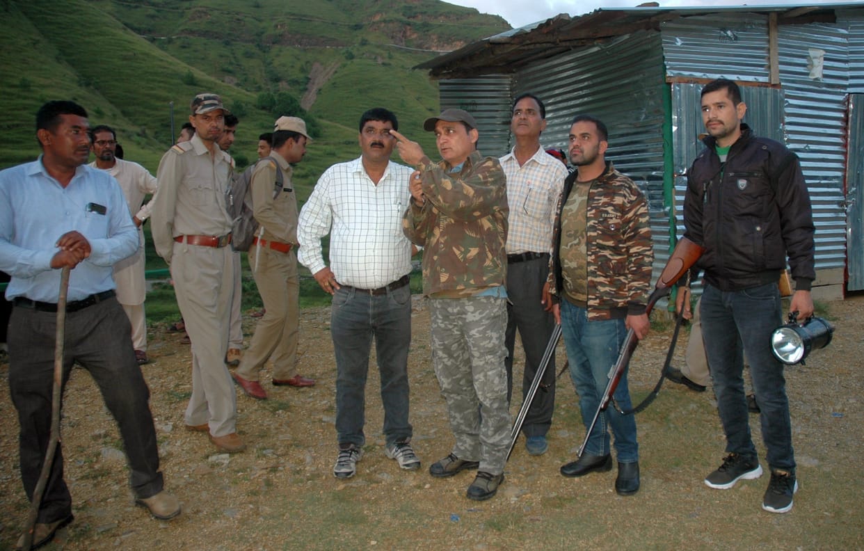 Tiger In Pithoragarh