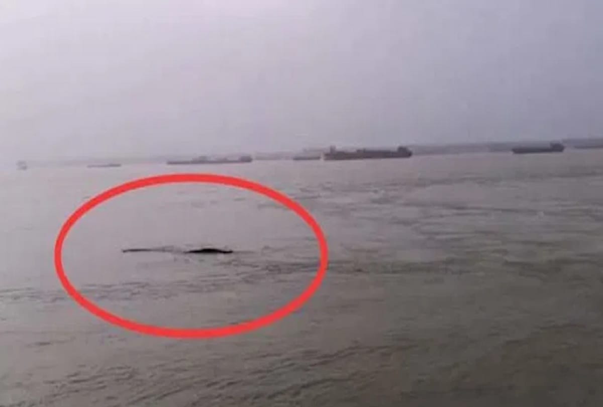 Mysterious long and black object captured in Yangtze river has been revealed as an airbag