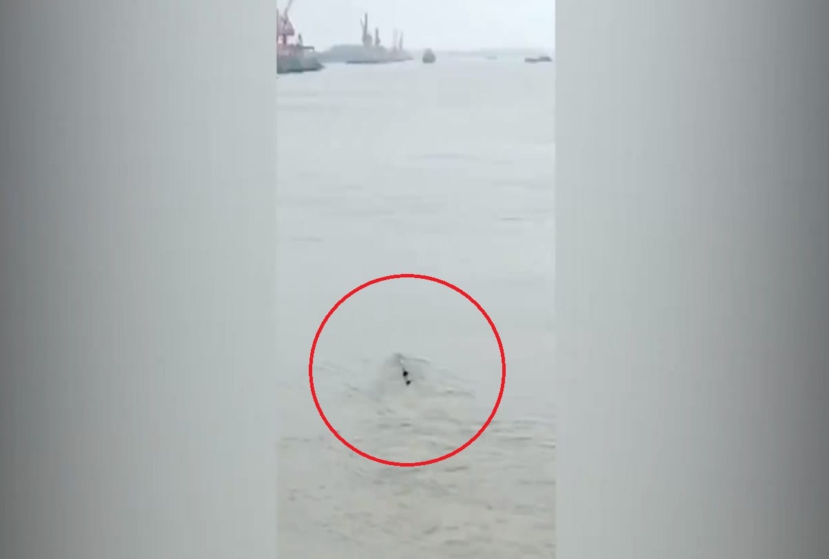 Mysterious long and black object captured in Yangtze river has been revealed as an airbag