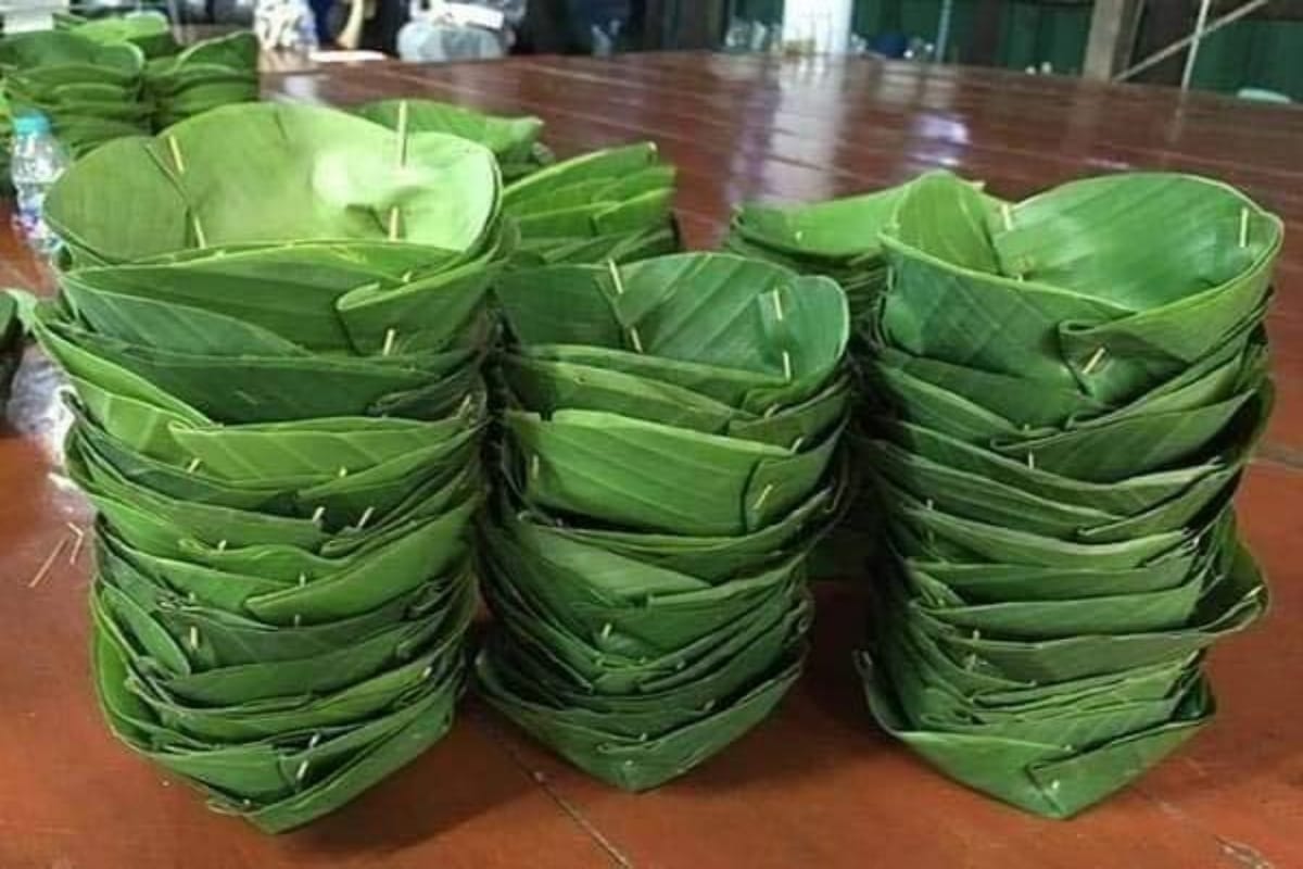 eco friendly banana leaves utensils production maintain balance of environment