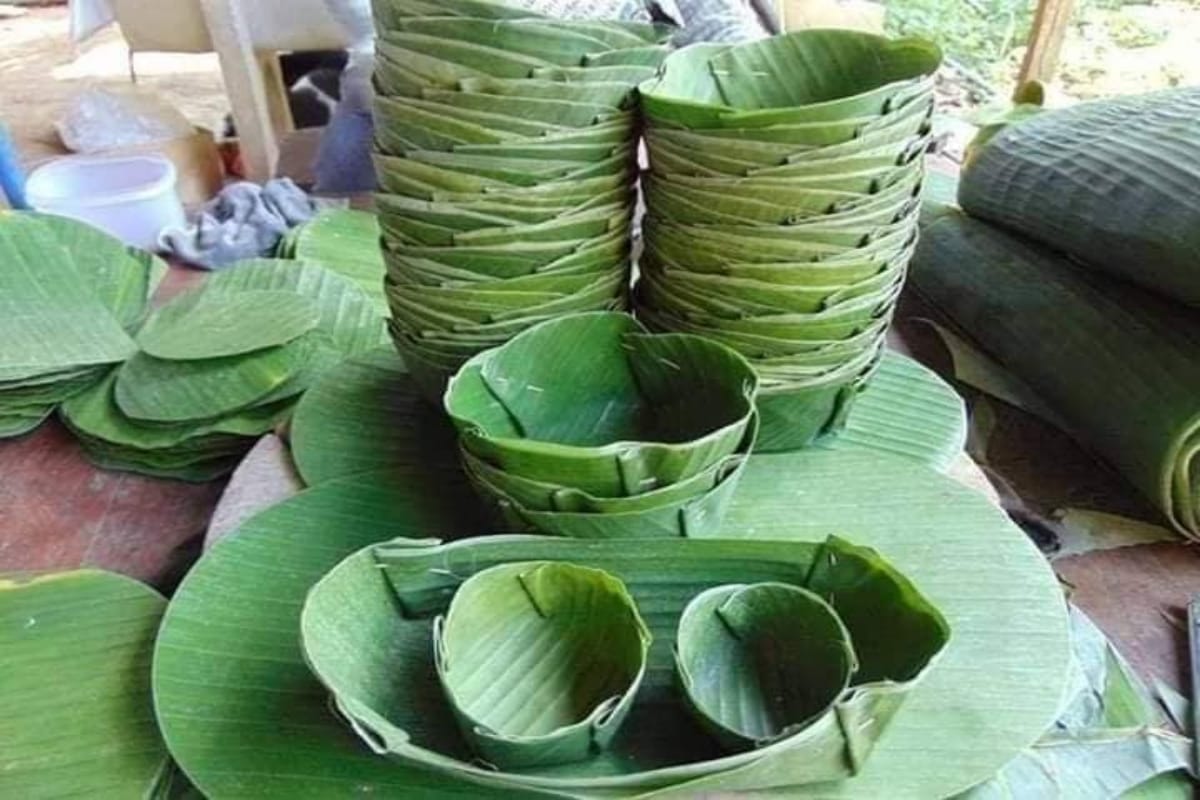 eco friendly banana leaves utensils production maintain balance of environment