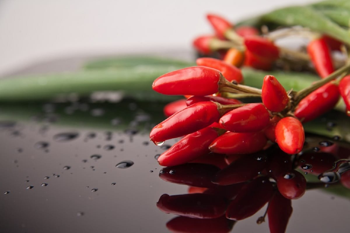 Spices That Decreases The Risk Of Heart Disease