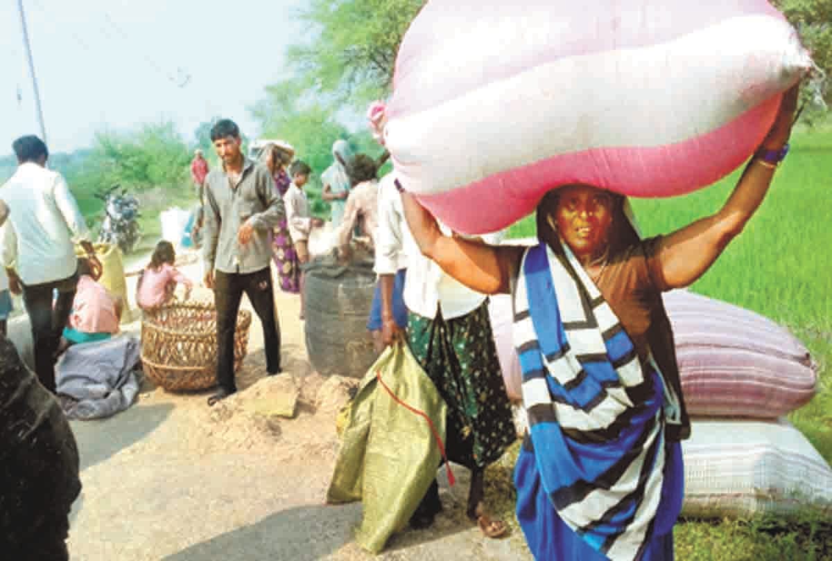hundreds villages become  island in kaushambi