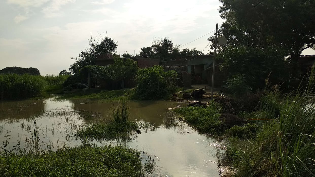 mau news flood