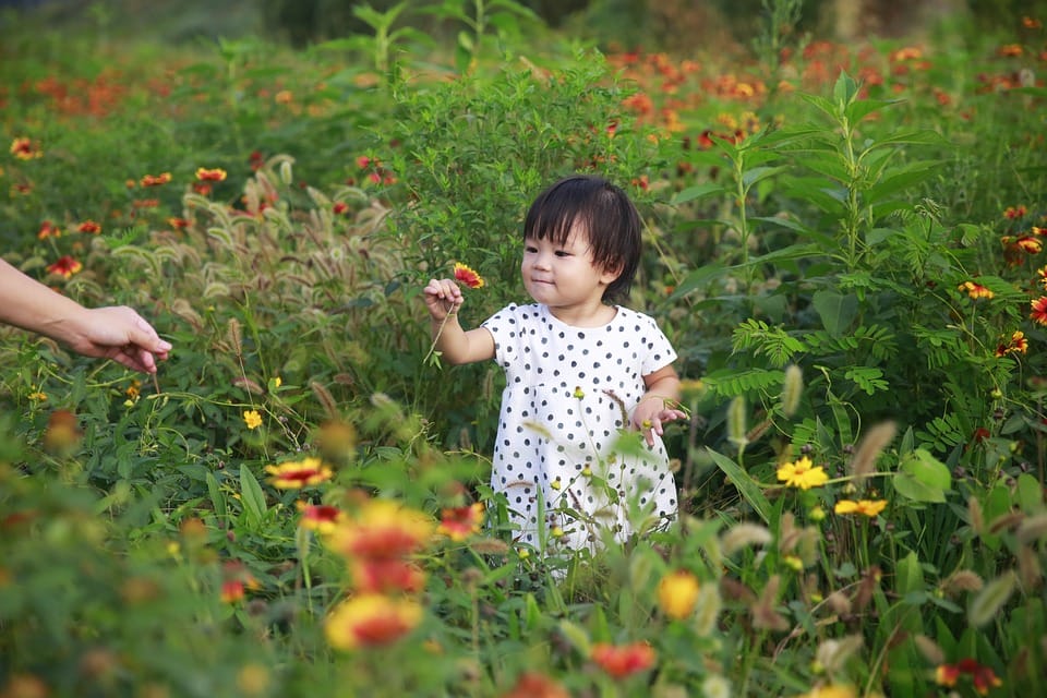 Daughters’ Day 2019: Daughters’ Day wishes images wallpapers 