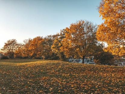 Beautiful Autumn of europe