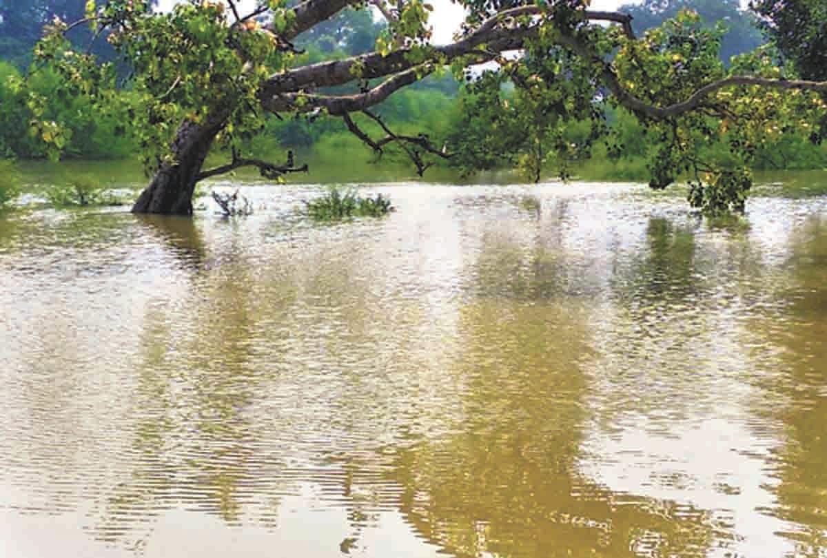 boat overturned in kaushmabi