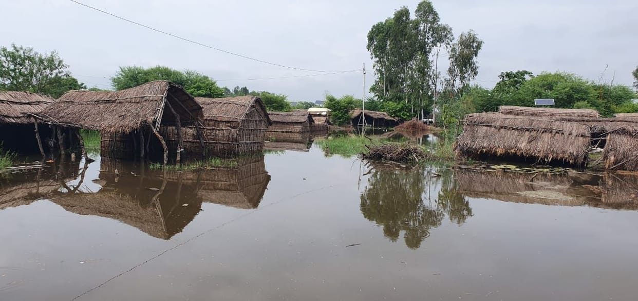 Ghaghra's water level decreased, houses of victims started falling