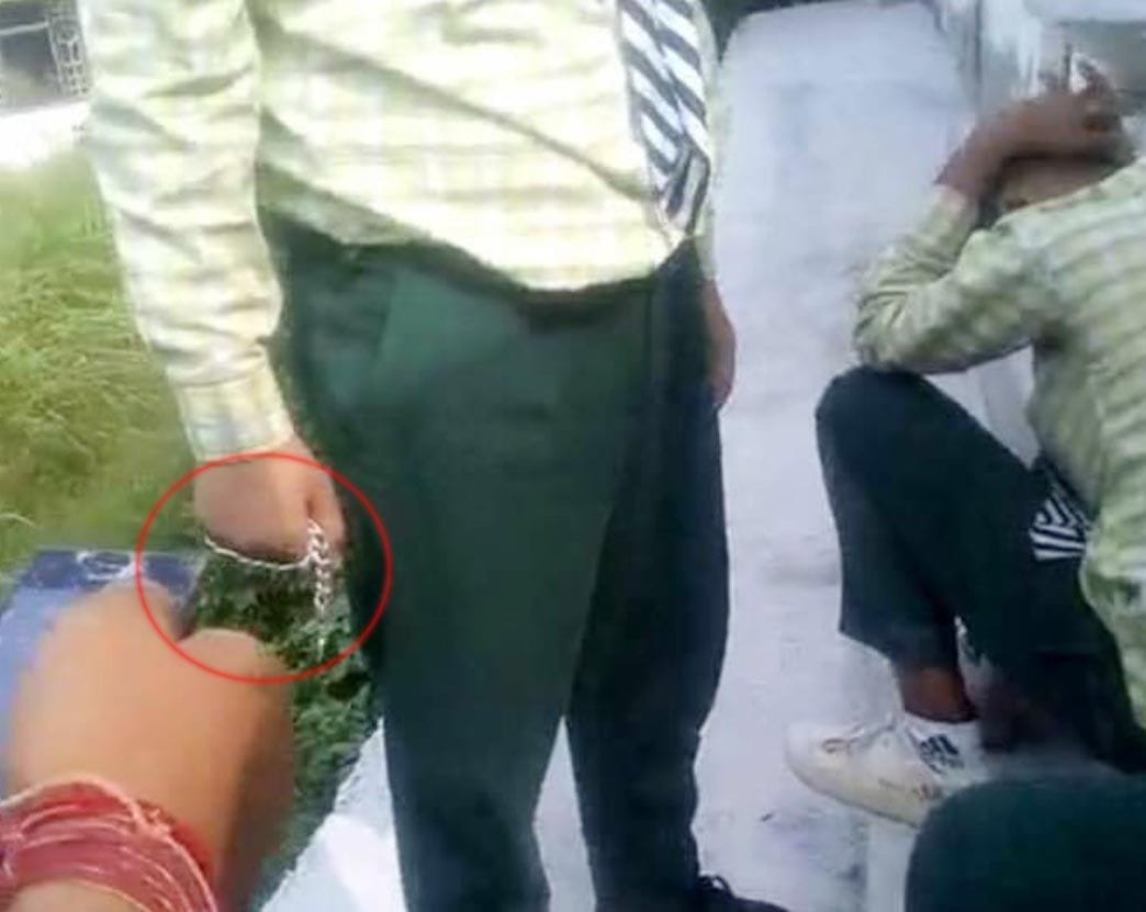 student bitten
