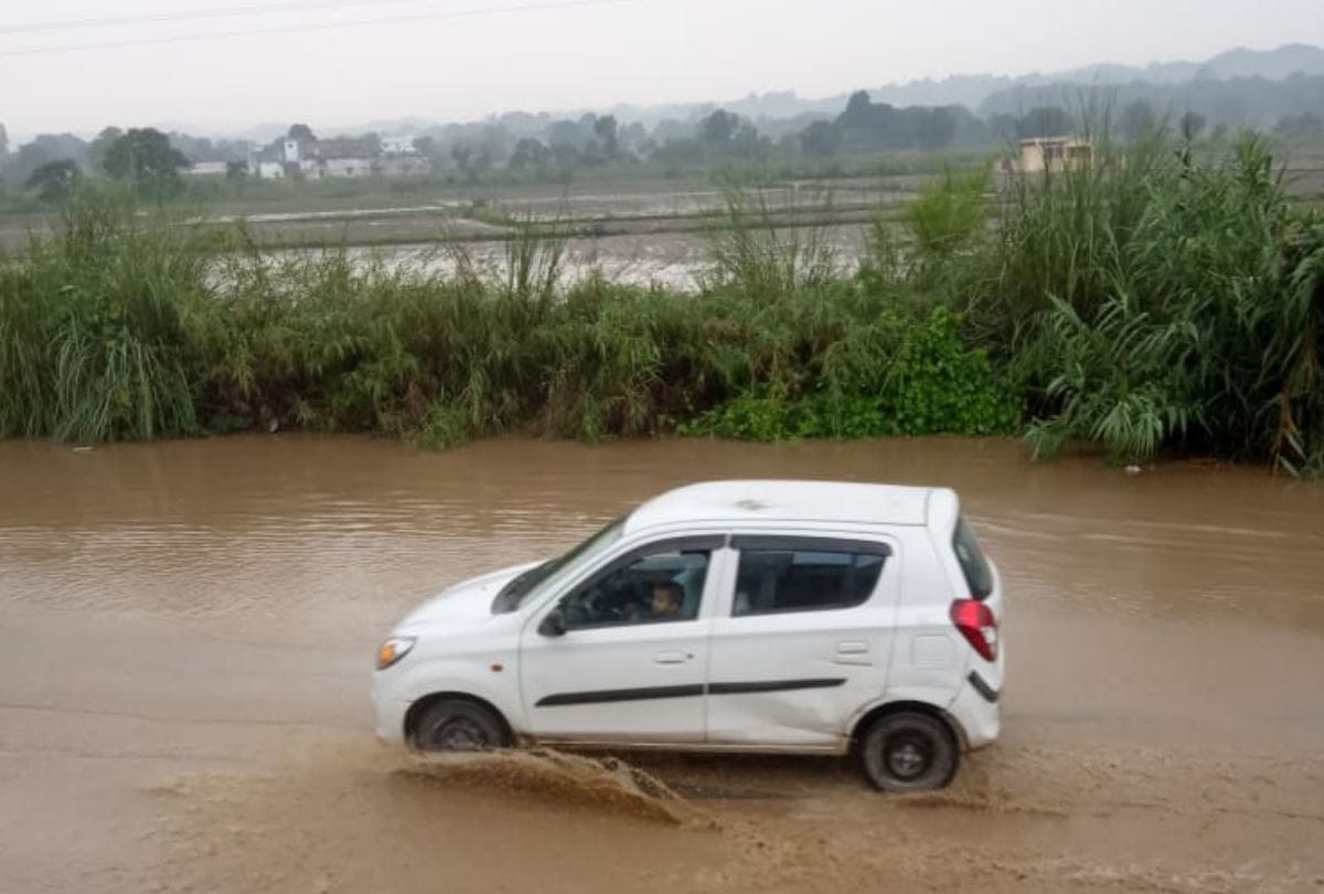 himachal weather report rain forecast in five districts of state