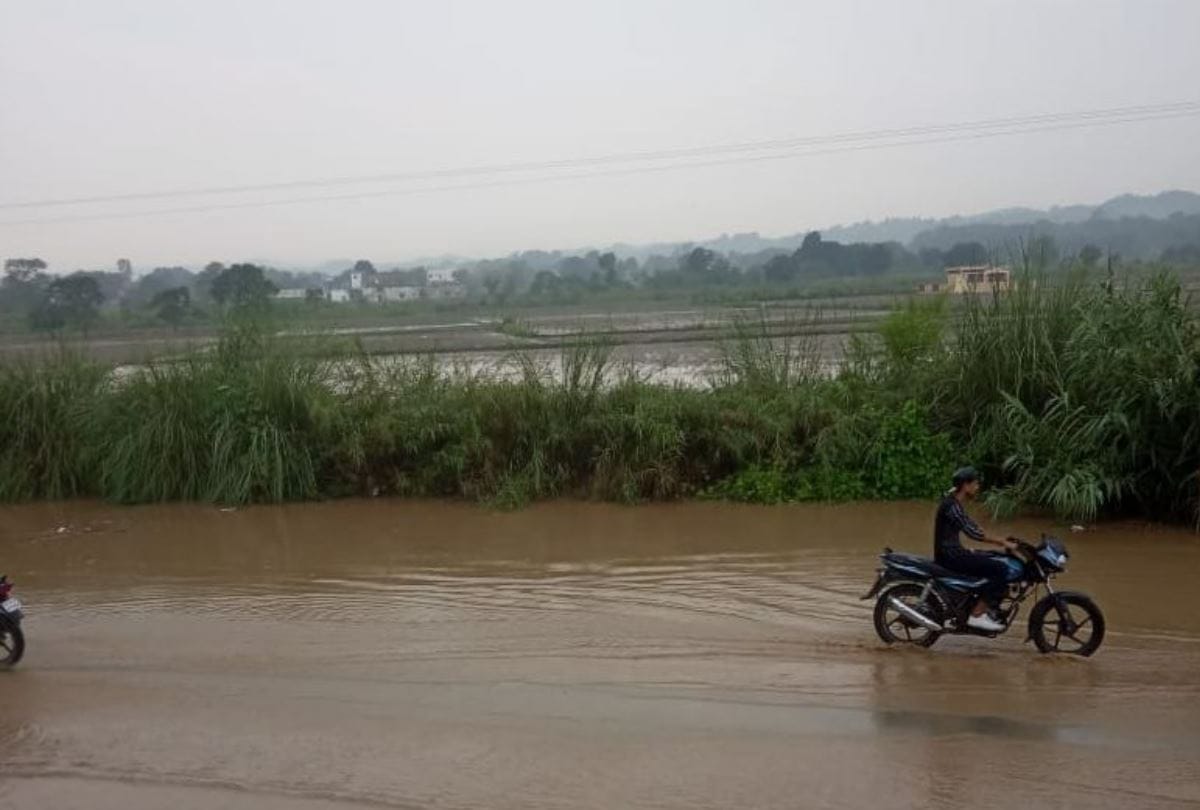 himachal weather report rain forecast in five districts of state