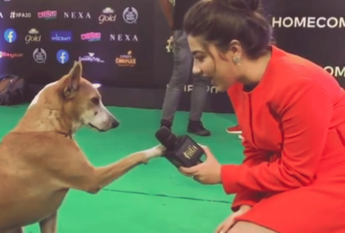 IIFA 2019 Rekha repeat Alia Bhatt dialouge Gullu Gullu from Gully Boy film video viral