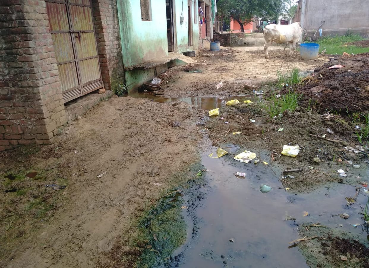 dengu in mainpuri