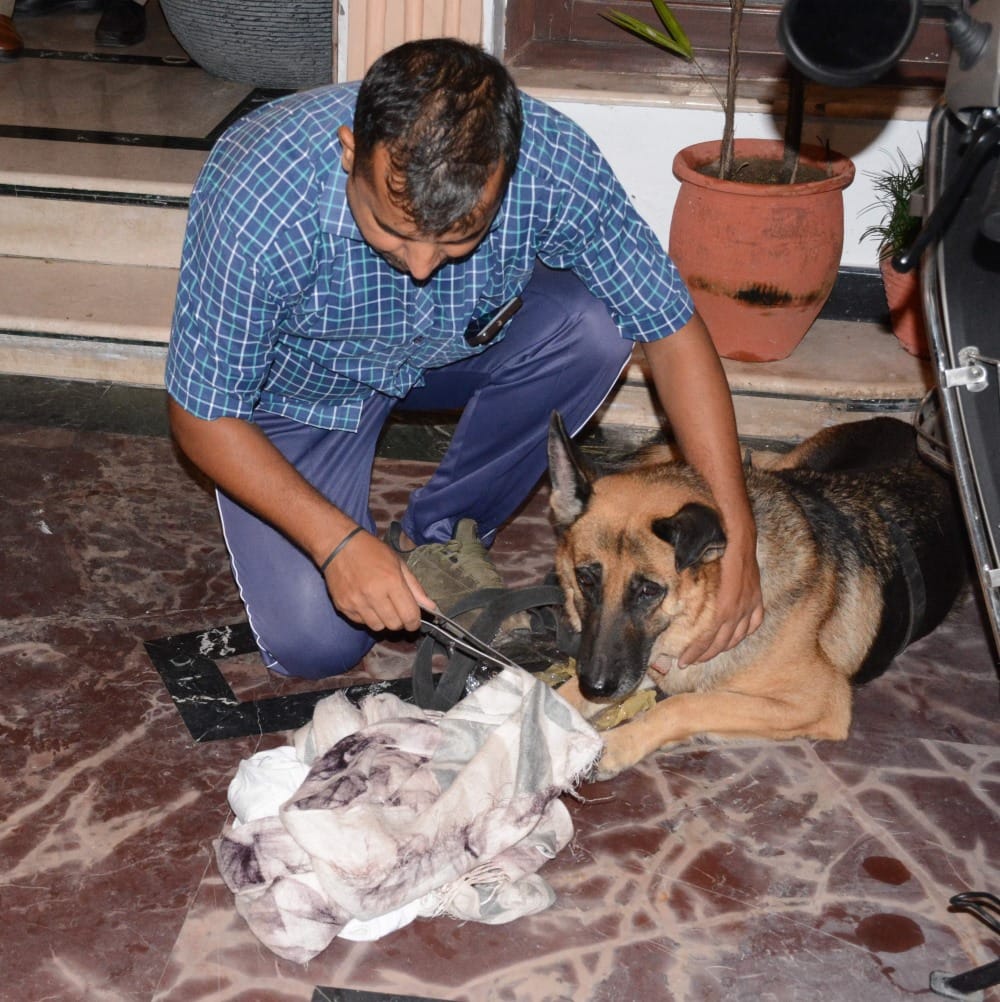 Dehradun: loot on Abhimanyu Cricket Academy owner house