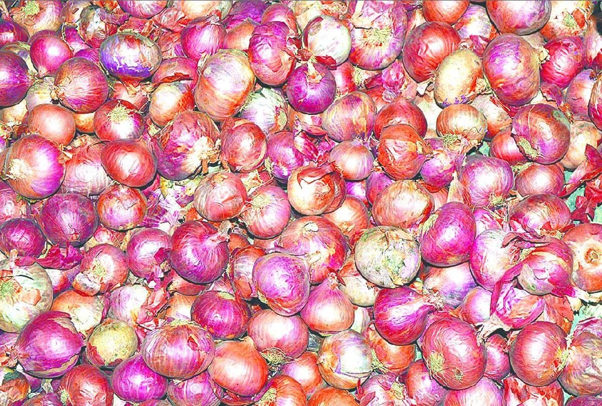 onion price at rs 25 per kg in mathura