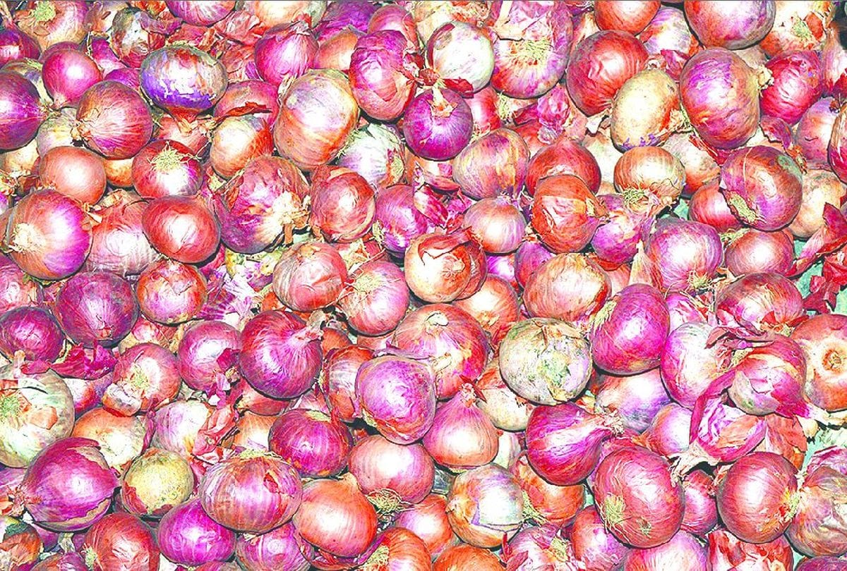 onion sold on rs 25 pr kg in agra