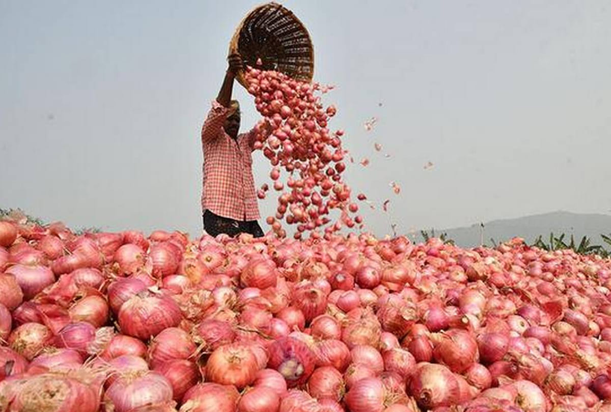 onion prices increasing due to cyclones and untimely rains