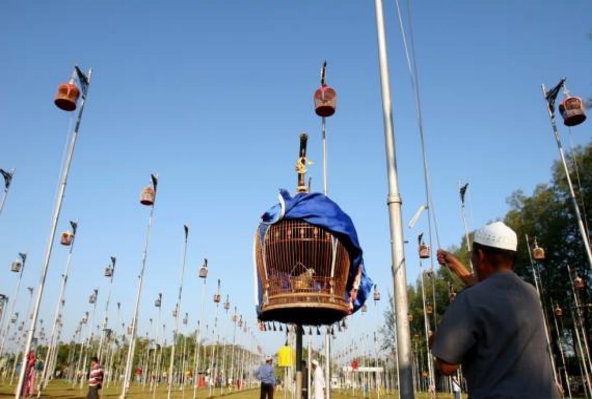 interesting news thailand held bird singing competition