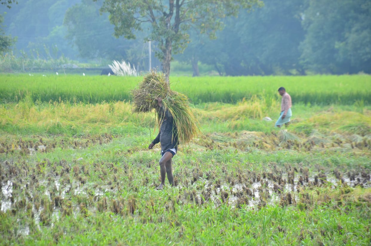 farming