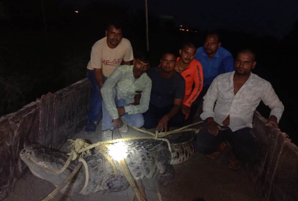 crocodile found in ayodhaya near saryu river, residents in terror