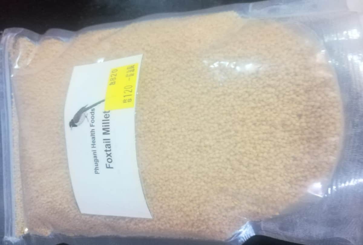 shimla: Foxtail Millet (Kauni) of the grass species will be a substitute for rice