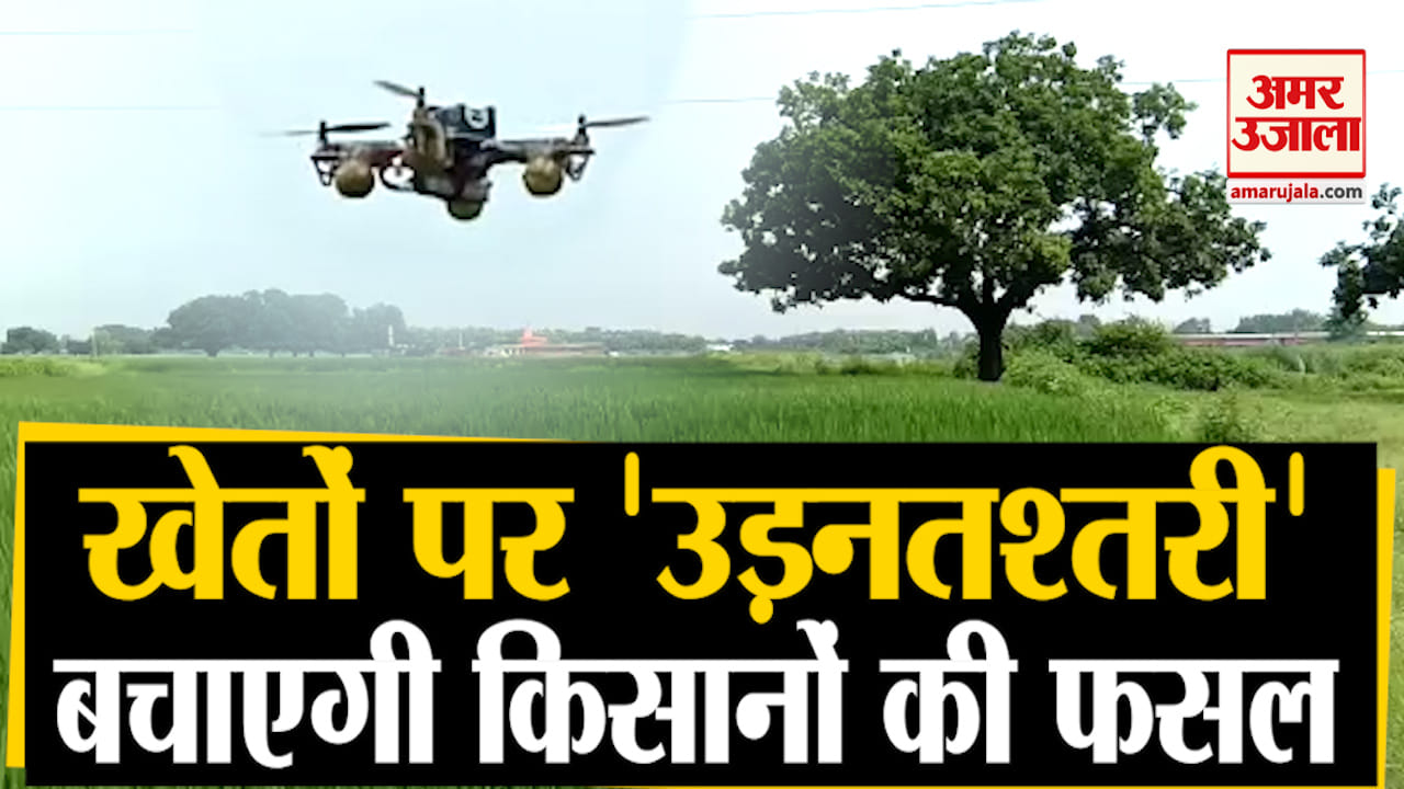 ट्रिपल आईटी