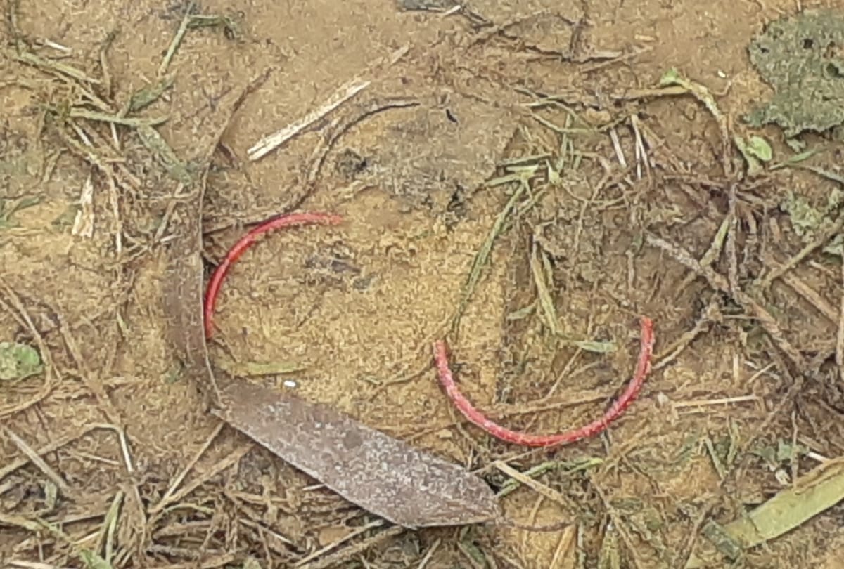 murder of tractor driver in ramdaspur village of banthra