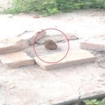 फिरोजपुर में मिला हैंड ग्रेनेड