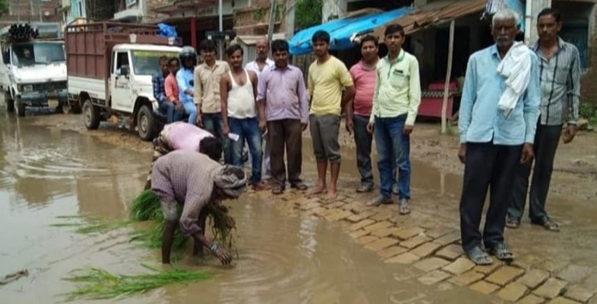 Protests by planting paddy in waterlogging on the road