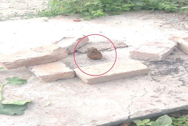 Hand Grenade Found In Firozpur Of Punjab