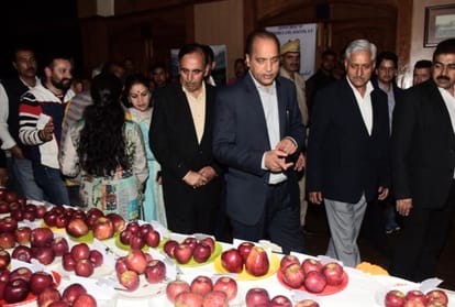 Himachal Apple Festival 2019 started in Shimla