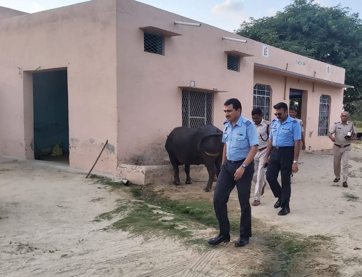 Air Force team reached parrot, 43 Minut investigation in house