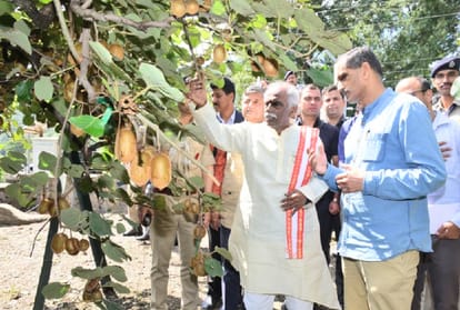 a cold store chain for apple and tomato production Himachal needed: Governor