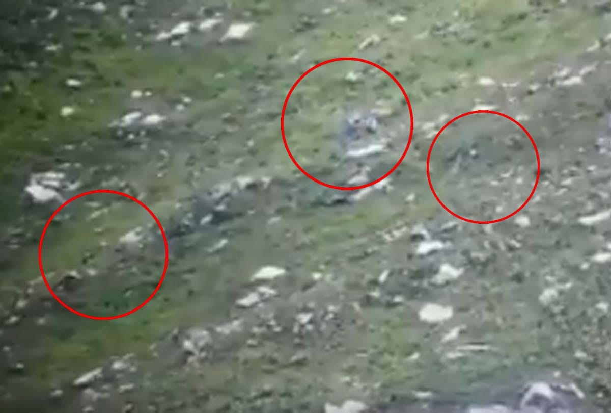Indian Army foiled an infiltration attempt by a Pakistani BAT on LOC in Kupwara sector