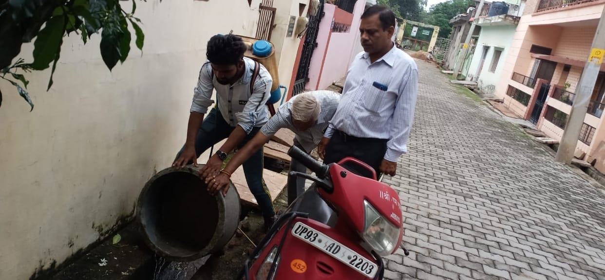 dengue larva found in city, notice