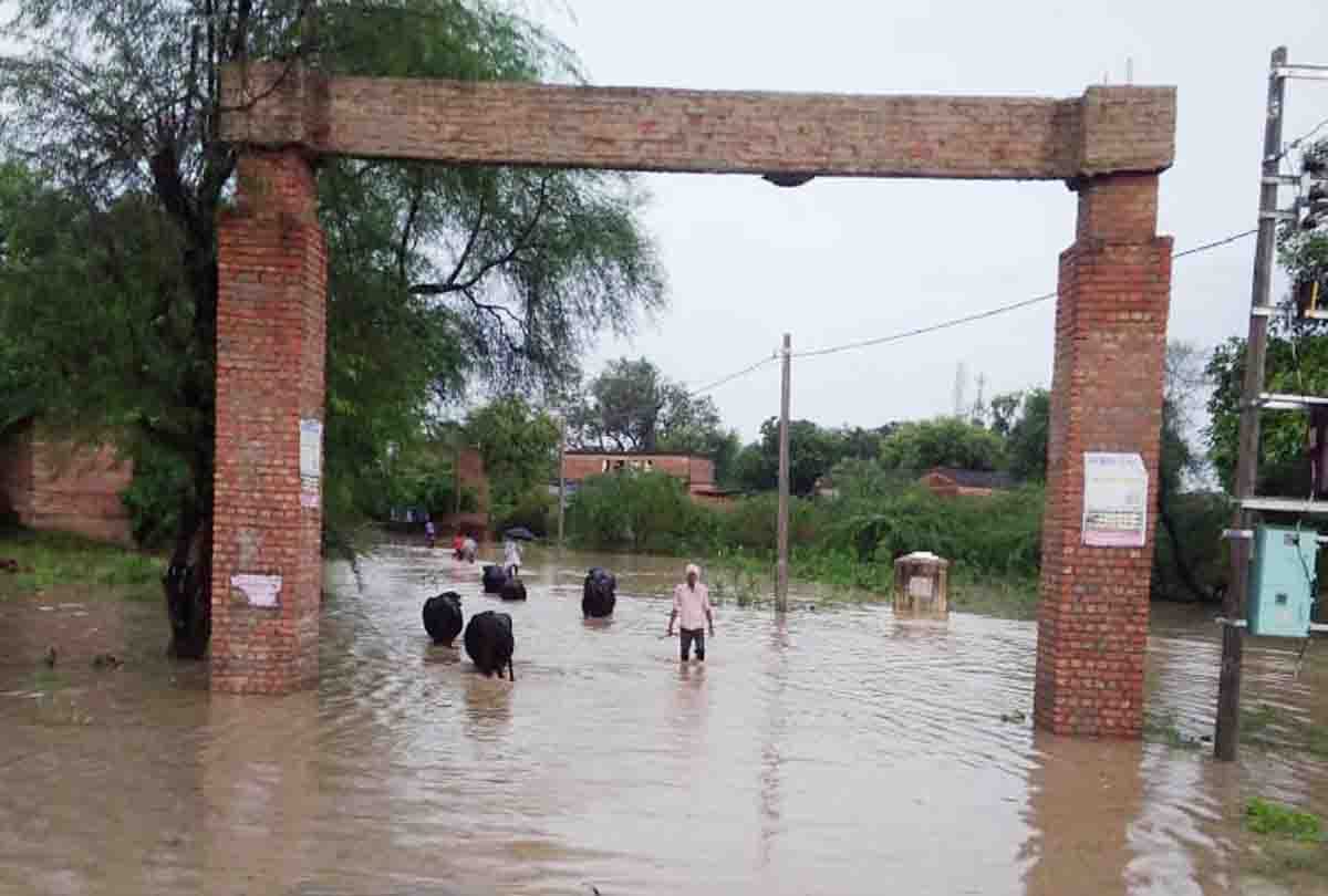 four people died due to heavy rain and lightning in bundelkhand