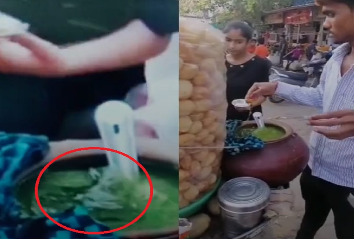 Frog in Golgappa water viral video reality TikTok Trending videos