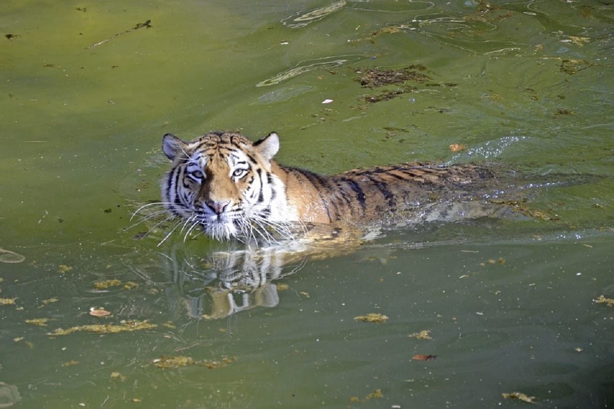 top 5 amazing places to visit in month october in india