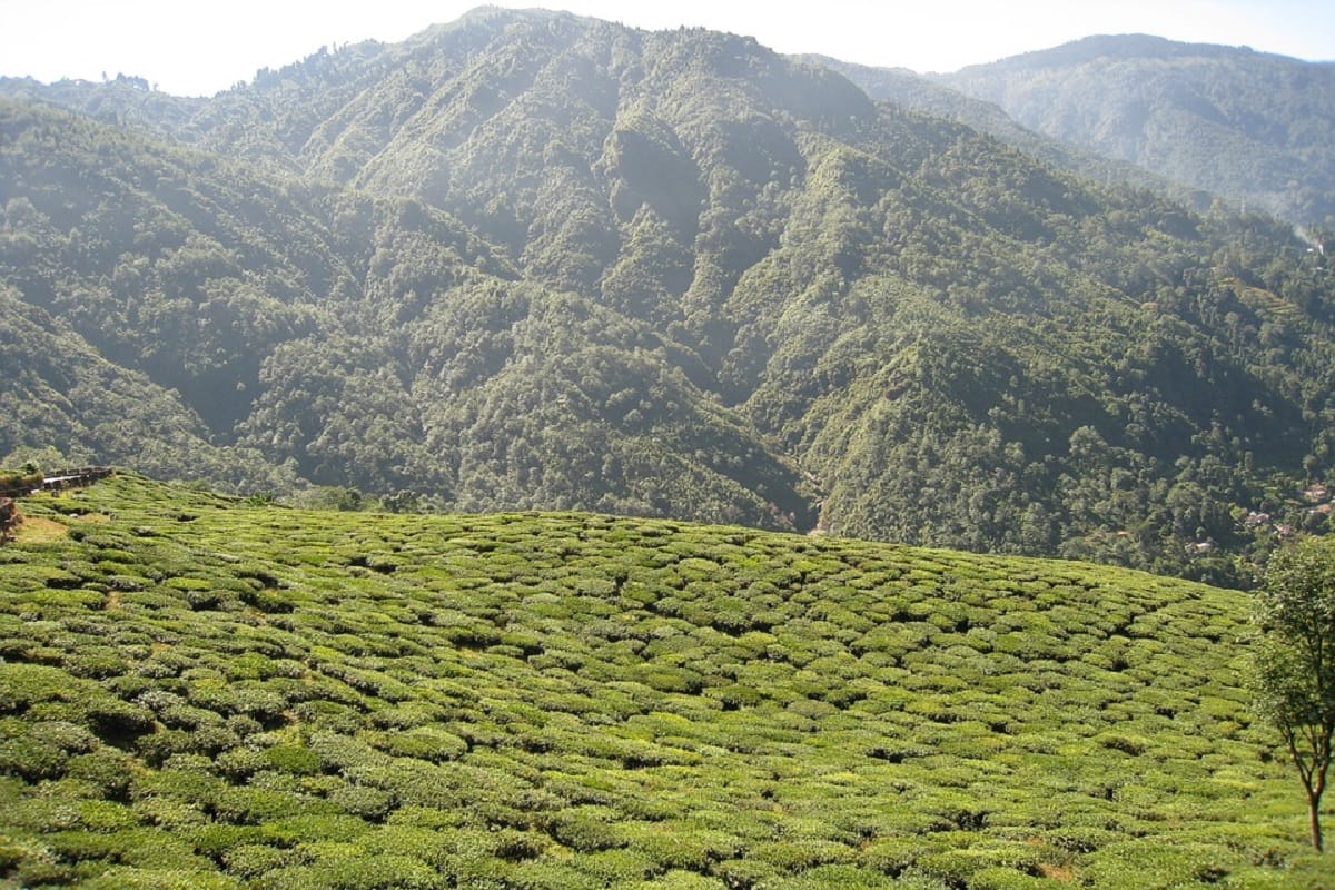 top 5 amazing places to visit in month october in india