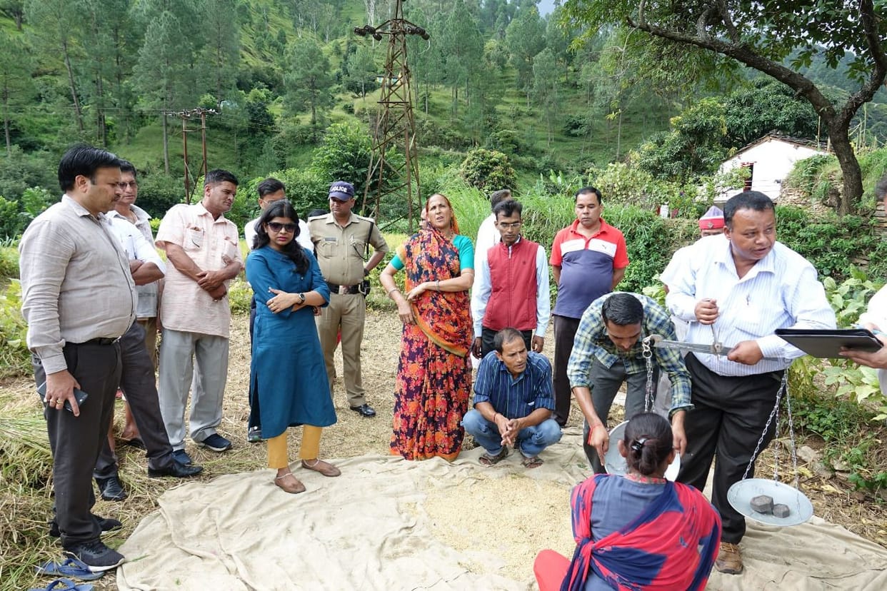 DM harvested paddy crop for assessment
