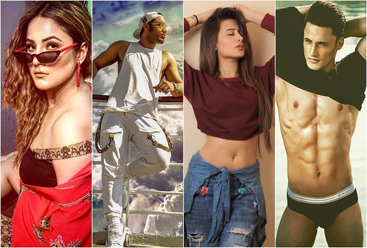 salman khan Bigg Boss 13 contestant list koena Rashami paras Abu dalljiet devoleena shehnaz mahira