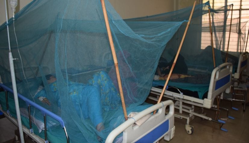 Dengue confirmed in 223 people in the district