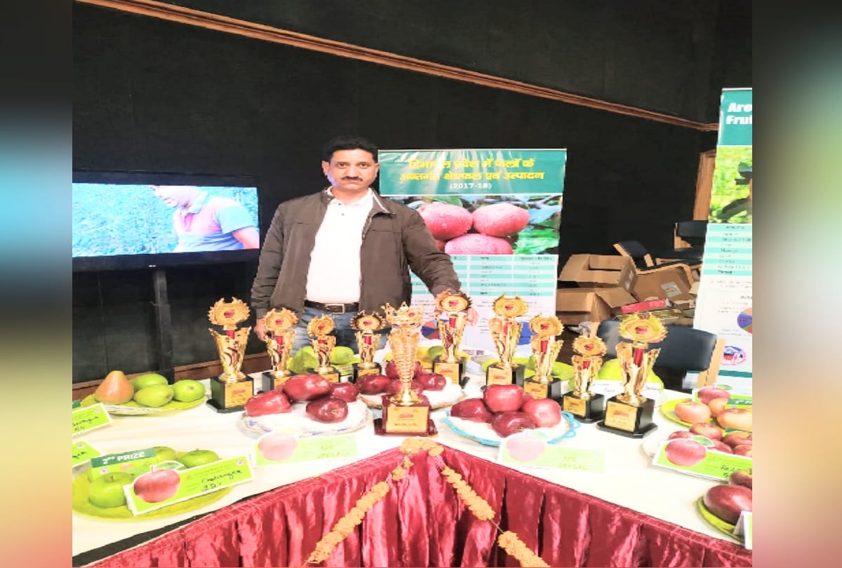 This apple variety of Shimla's apple grower Prem Chauhan received a special award
