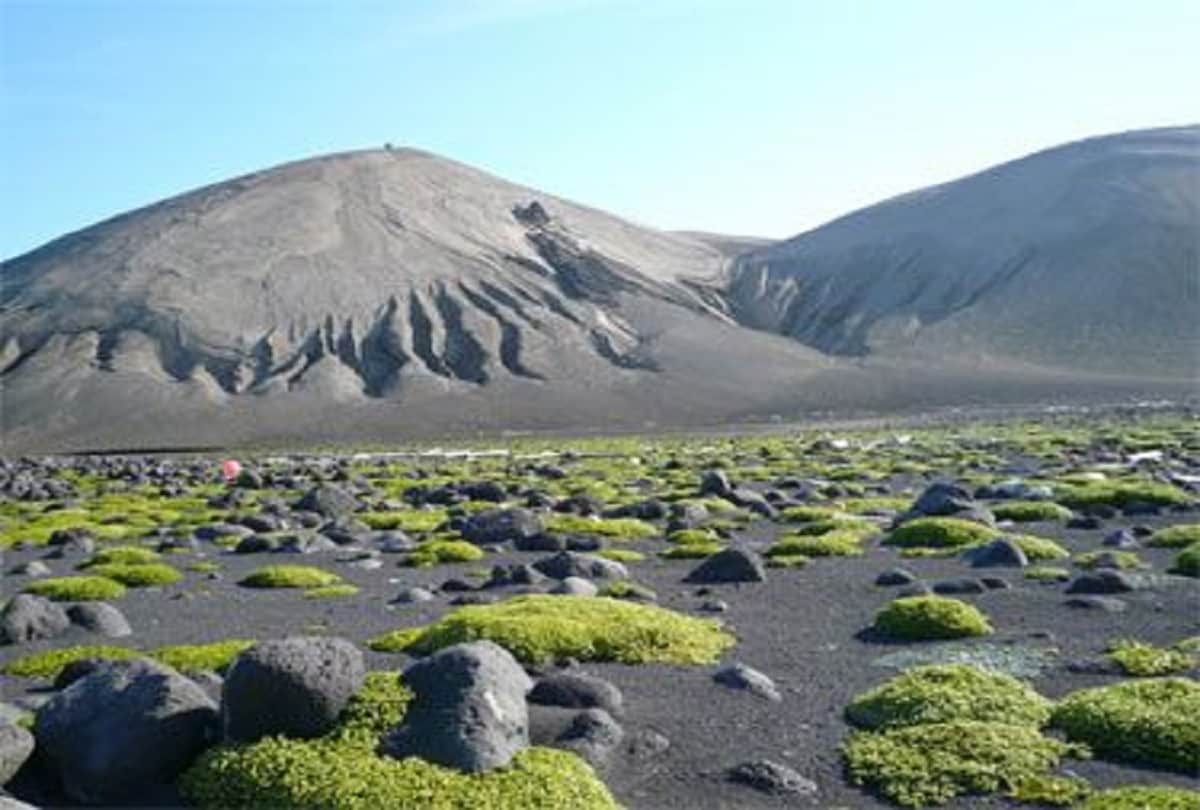 Unique Island in Iceland Surtsey Island where nobody can enter only scientists allowed