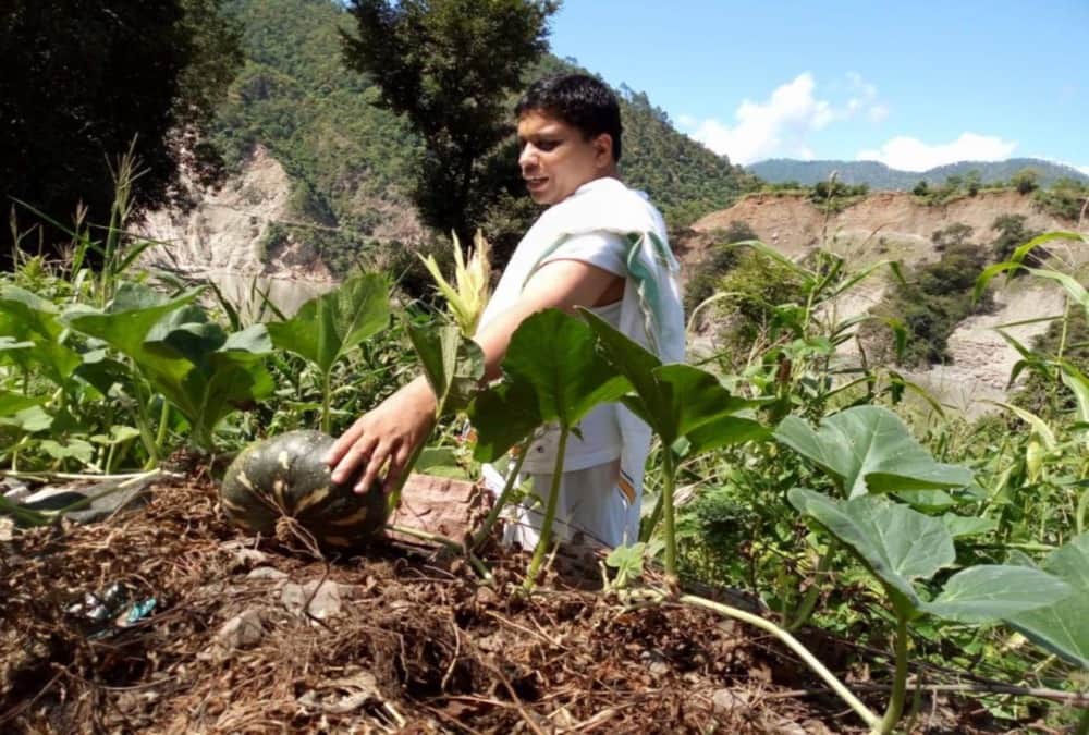 Patanjali CEO Acharya Balkrishna spent time in kedarnath for yagya and Meditation