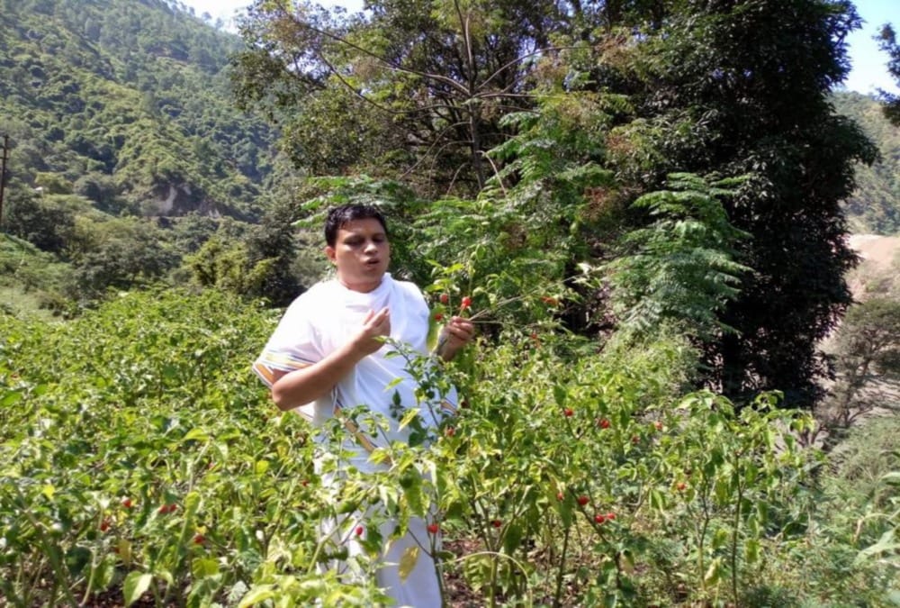 coronavirus in uttarakhand latest news : baba ramdev patanjali yogpeeth claims corona successful treatment can be done